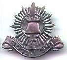 IDF cap badge
