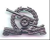 IDF cap badge