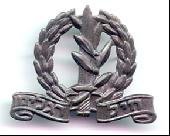IDF cap badge
