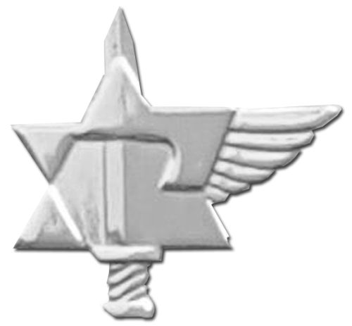 Israel IDF Home Front Badge