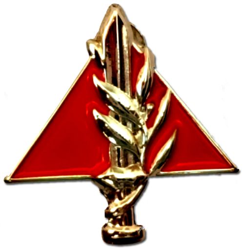 IDF Home Front Badge