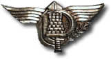 Israel IDF Infantry Badge