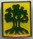 Israel IDF Infantry Badge