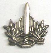 Israel IDF Infantry Badge