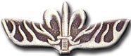 Israel IDF Infantry Badge