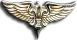 Israel IDF Infantry Badge