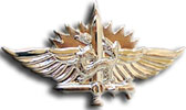 Israel IDF Infantry Badge