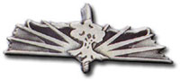 Israel IDF Infantry Badge