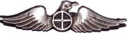 Israel IDF Infantry Badge