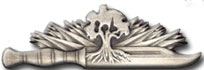 Israel IDF Infantry Badge