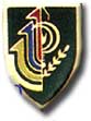 Israel IDF Infantry Badge