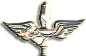 Israel IDF Infantry Badge