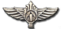 Israel IDF Infantry Badge
