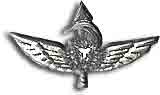 Israel IDF Infantry Badge