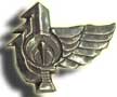 Israel IDF Infantry Badge