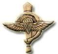 Israel IDF Infantry Badge