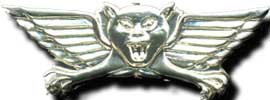 Israel IDF Infantry Badge