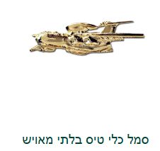 IDF Intelligence Service Badge