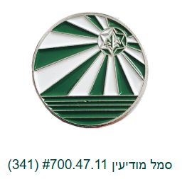IDF Intelligence Service Badge