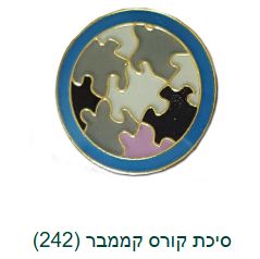 IDF Intelligence Service Badge