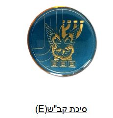 IDF Intelligence Service Badge