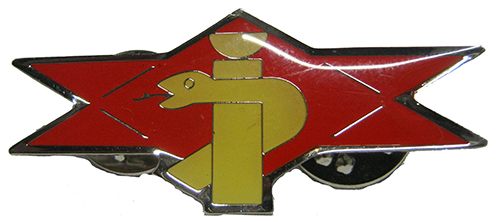 IDF Medical Corps Badge