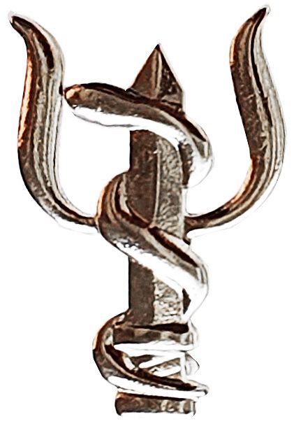 IDF Medical Corps Badge