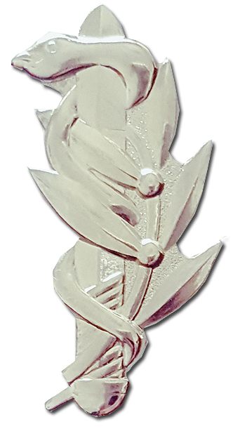 IDF Medical Corps Badge