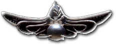 Israel IDF Navy Badge