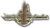 Israel IDF Navy Badge