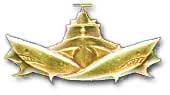 Israel IDF Navy Badge
