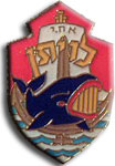 Israel IDF Navy Badge