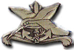 Israel IDF Navy Badge