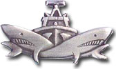 Israel IDF Navy Badge