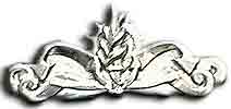 Israel IDF Navy Badge