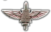 Israel IDF Infantry Badge
