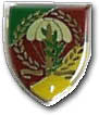 Israel IDF Infantry Badge