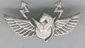Israel IDF Infantry Badge