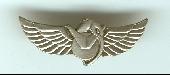 Israel IDF Infantry Badge