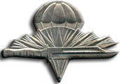 Israel IDF Infantry Badge