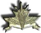 Israel IDF Infantry Badge