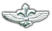Israel IDF Infantry Badge