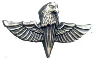 Israel IDF Infantry Badge