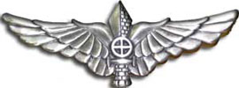 Israel IDF Infantry Badge