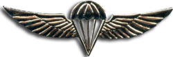 Israel IDF Infantry Badge