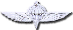 Israel IDF Infantry Badge