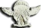 Israel IDF Infantry Badge
