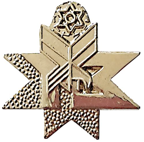 Israel Civil Guard Badge
