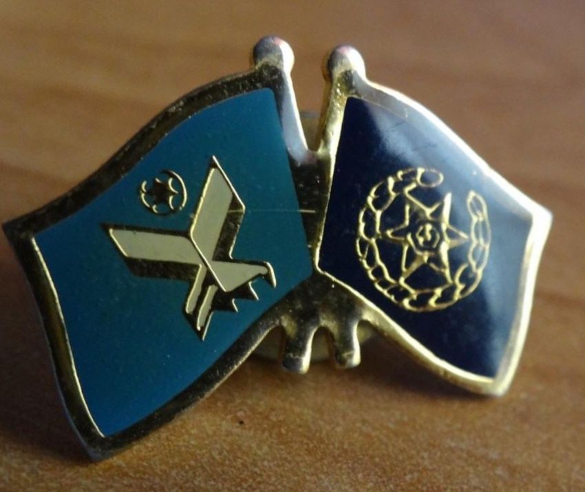 Israel Civil Guard Badge