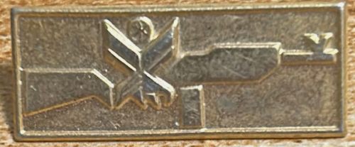 Israel Civil Guard Badge